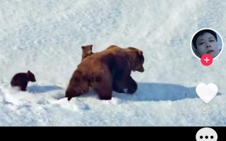 熊熊家科技 新手爸妈必看测评！宫菱，小熊，大宇婴儿消毒柜怎样选 好用吗