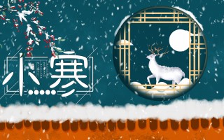 短视频制作节气 视频迎小寒节气，做扬州彩灯，这堂“非遗”课很别致