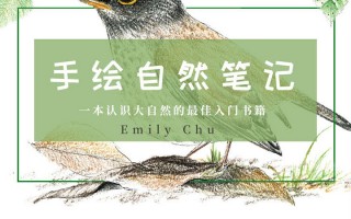 千岩云科技 自然笔记：风景与境界